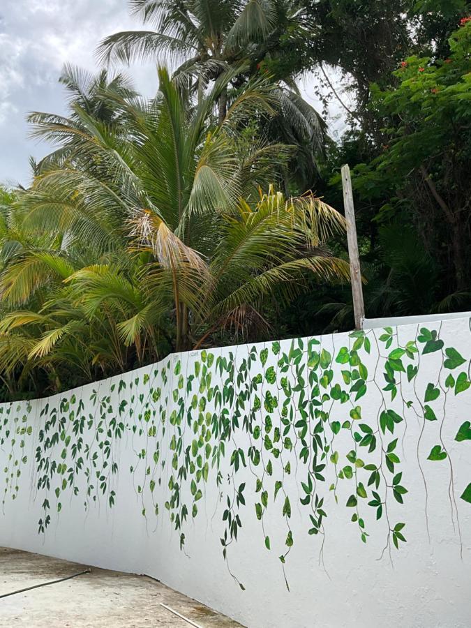لوكويللو The Serene House Bed & Breakfast المظهر الخارجي الصورة