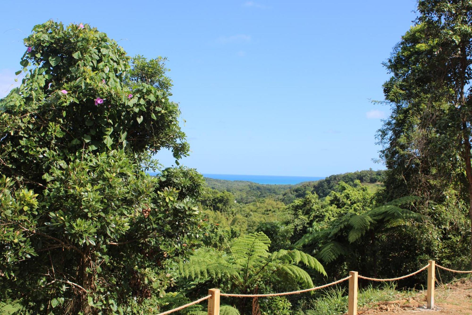 لوكويللو The Serene House Bed & Breakfast المظهر الخارجي الصورة