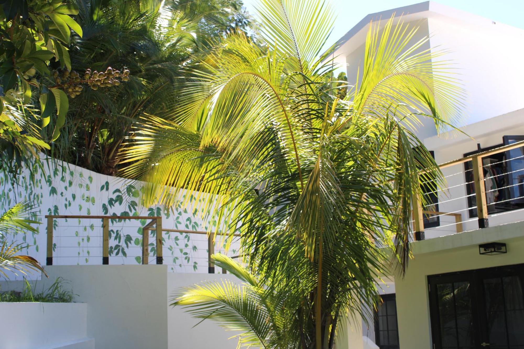 لوكويللو The Serene House Bed & Breakfast المظهر الخارجي الصورة